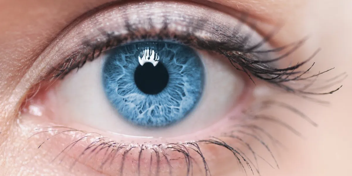 a close-up of a blue female human eye