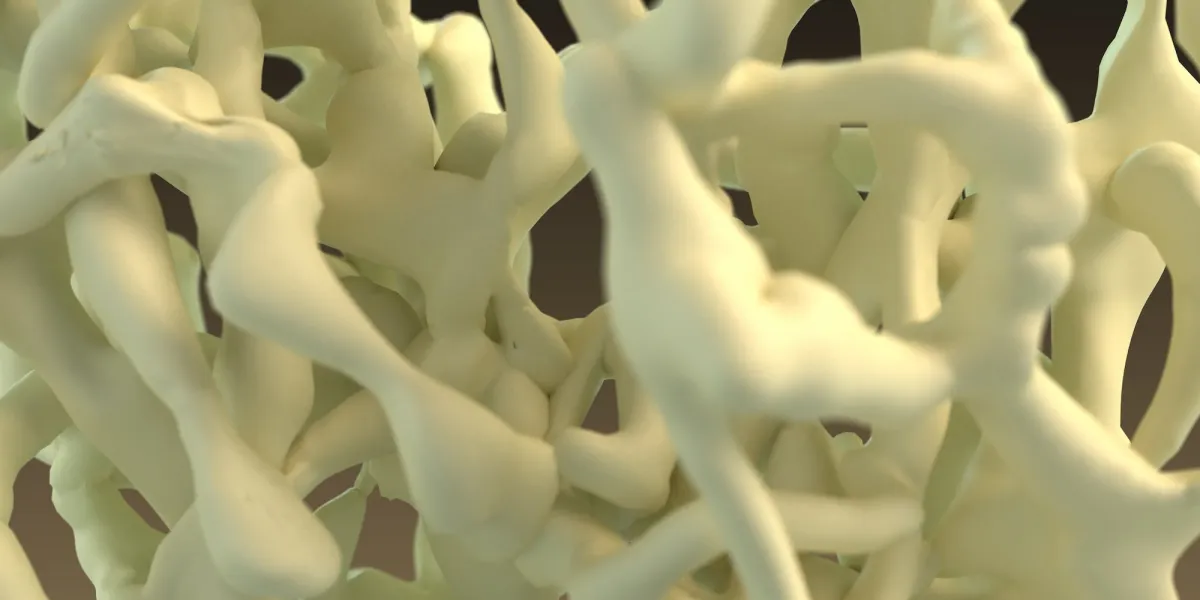 osteoporosis look into the bone 3d rendering