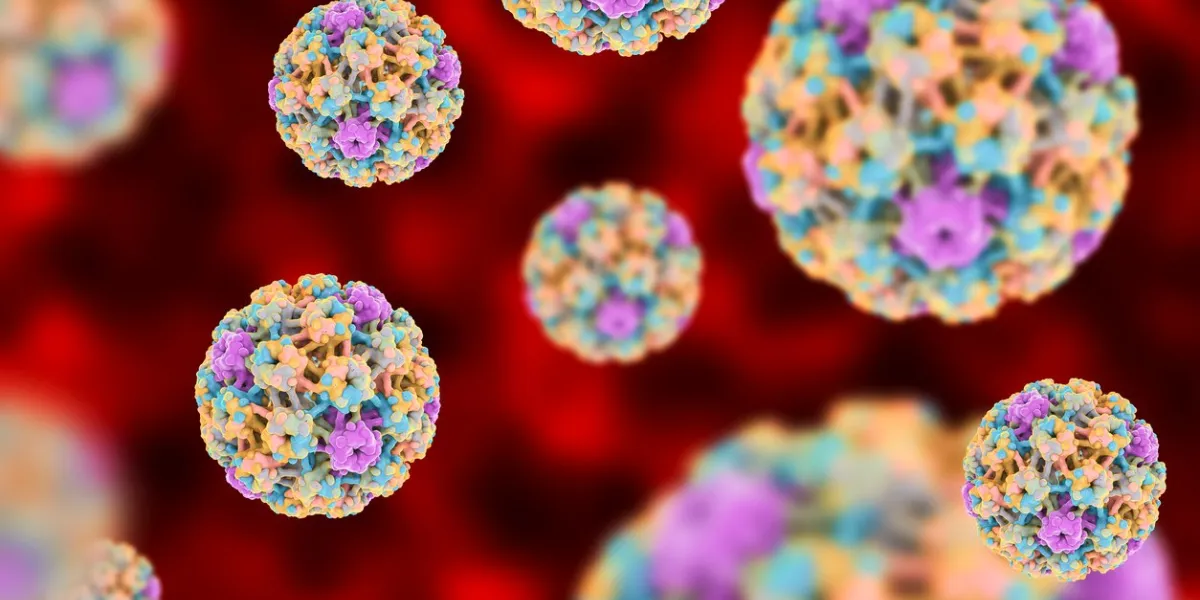 human papillomaviruses on colorful background, a virus which causes warts located mainly on hands and feet some strains infect genitals and can cause cervical cancer 3d illustration