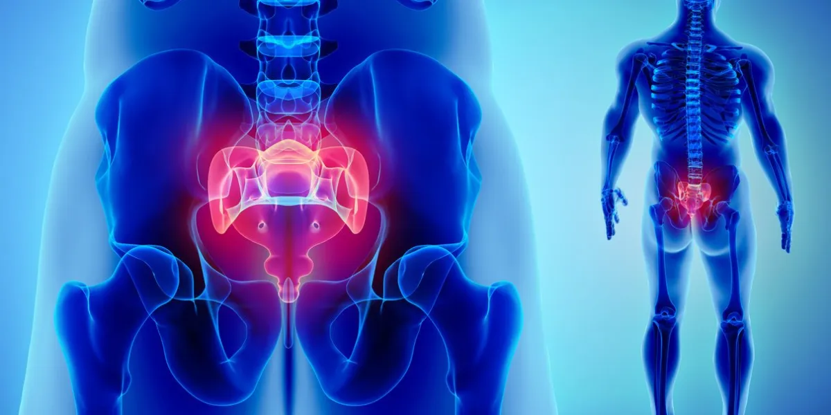 3d illustration of sacral spine - part of human skeleton