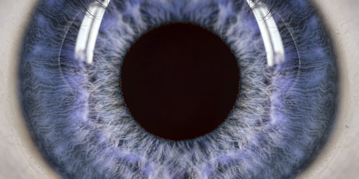 extreme close-up of human eye