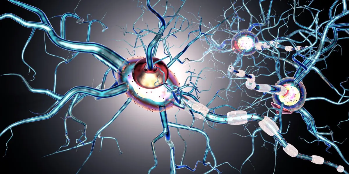 nerve cells, concept for neurodegenerative and neurological disease, tumors, brain surgery 3d rendering