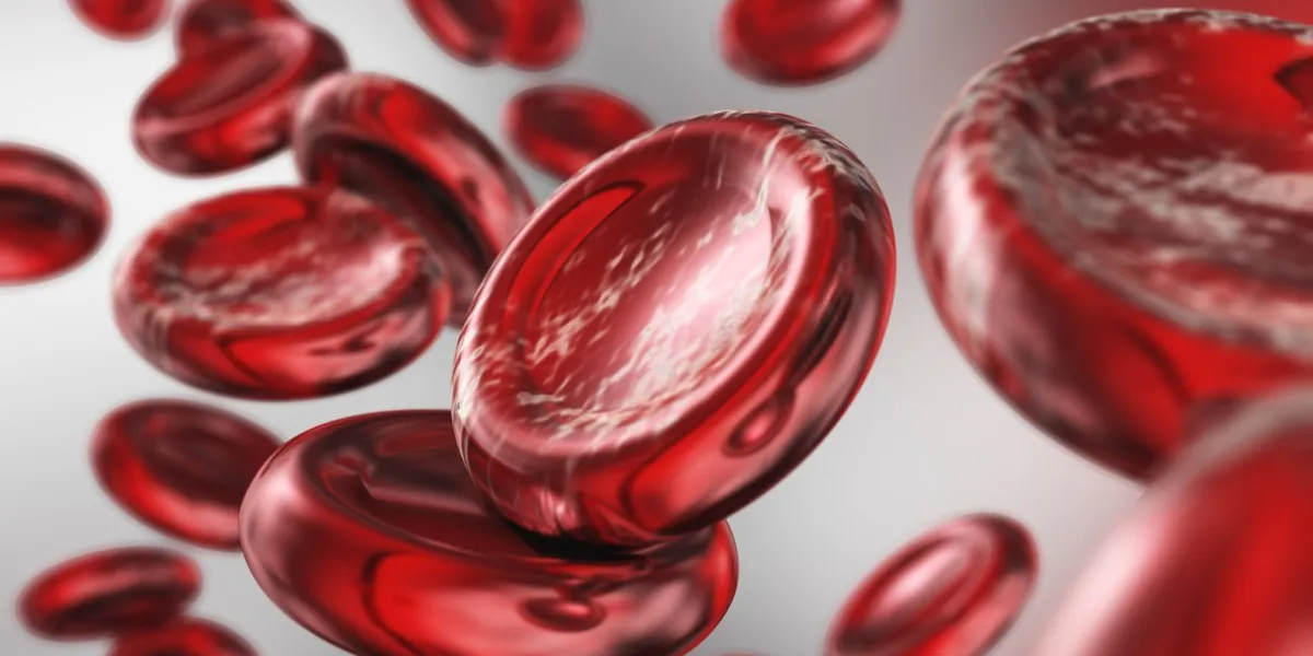 red blood cells beautiful scientific background