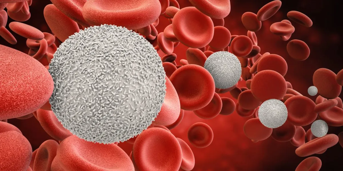 3d rendering white blood cells with red blood cells
