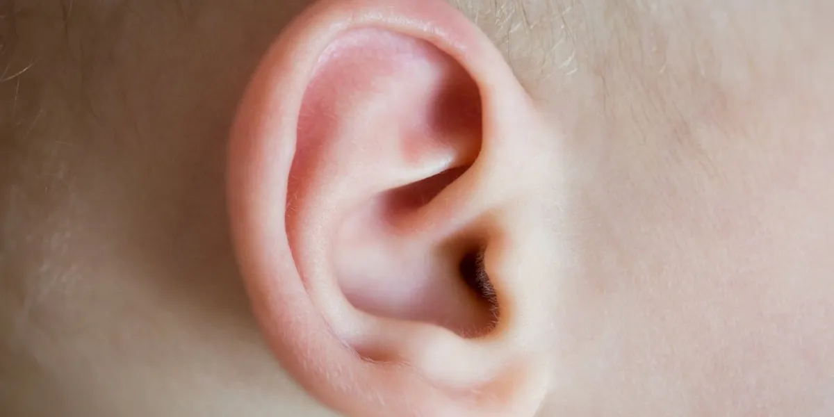 baby's ear close-up macro human anatomy