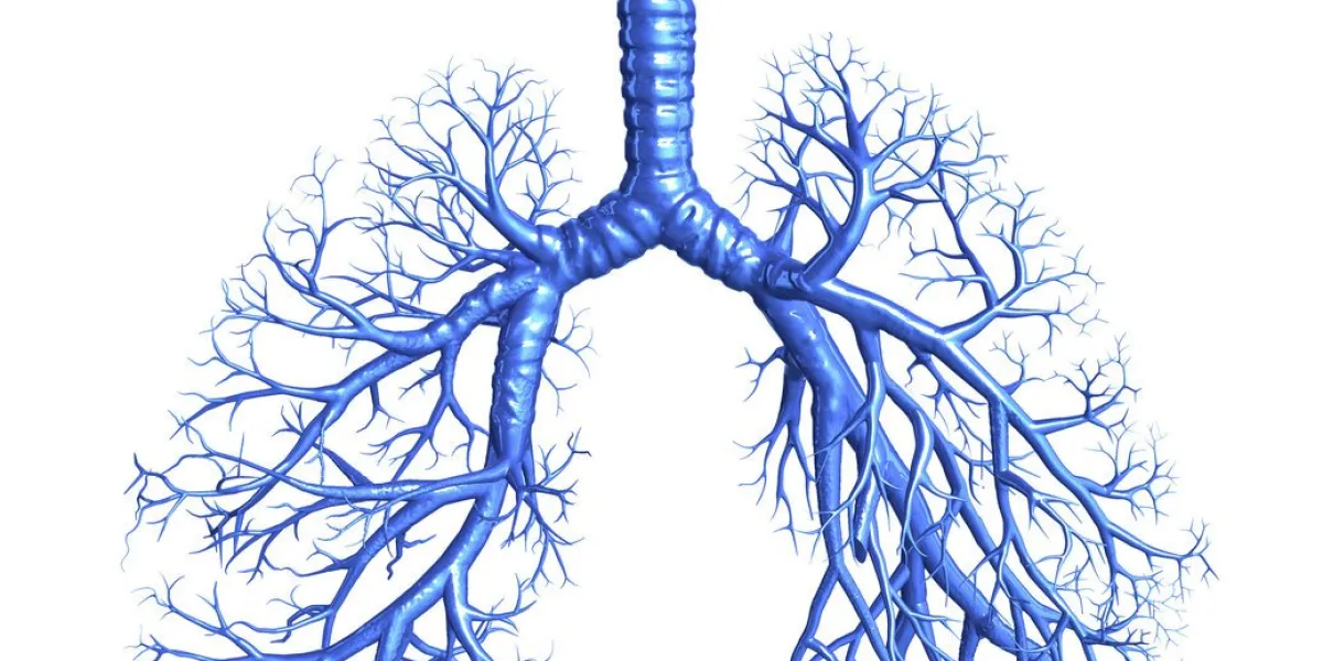 blue bronchus isolated on the white background