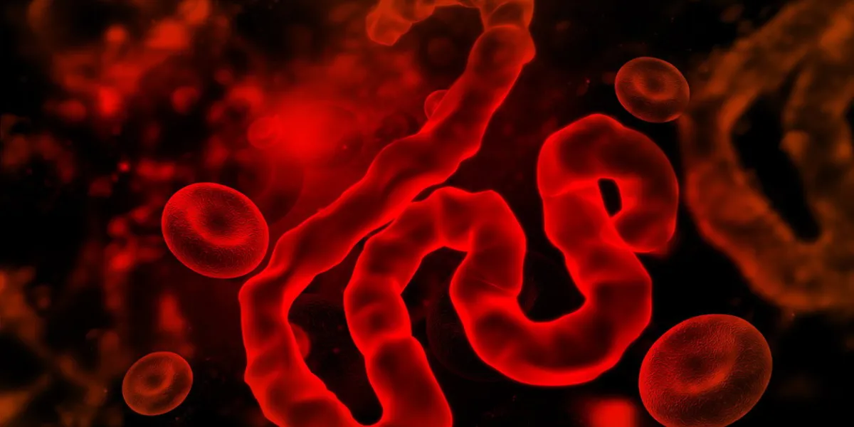 ebola virus on scientific background