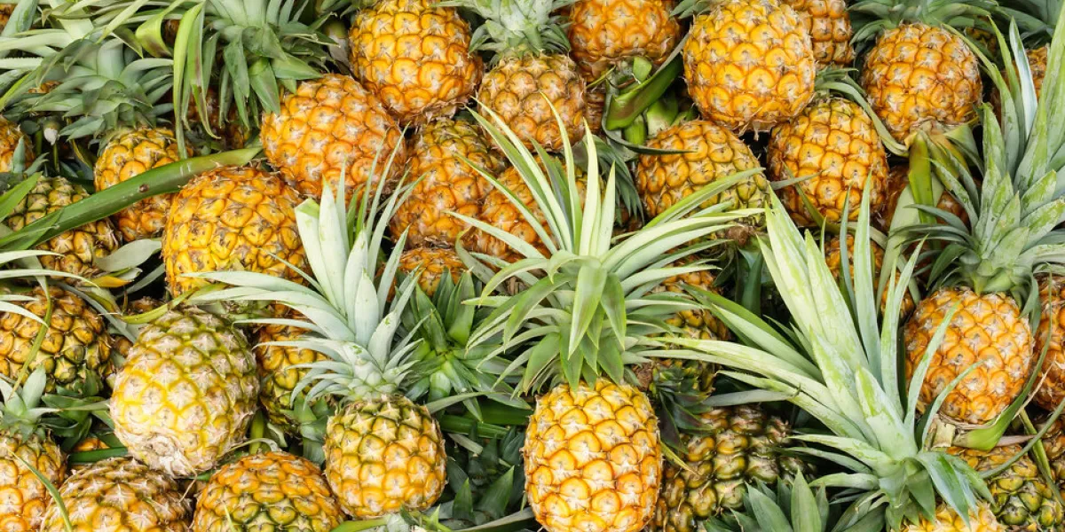 pineapple tropical fruit