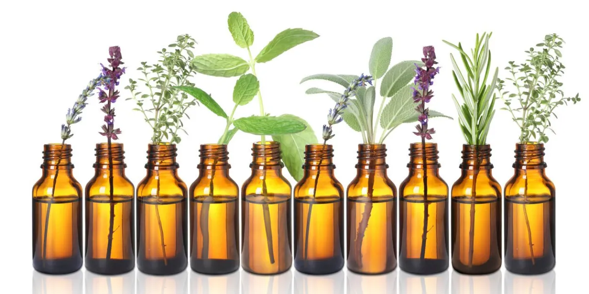 set of different essential oils with herbs isolated on white