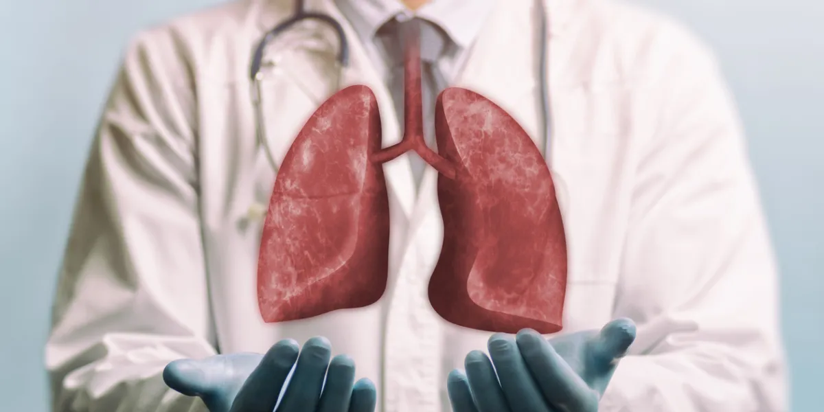 Greffe de poumons de porc sur un humain