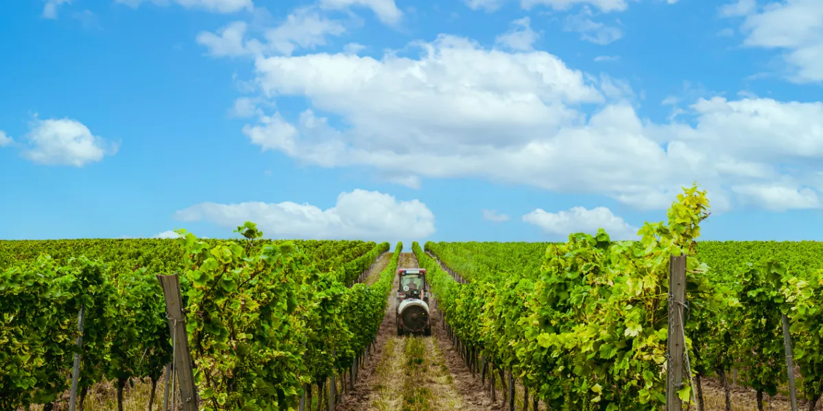 pesticides et zones viticoles