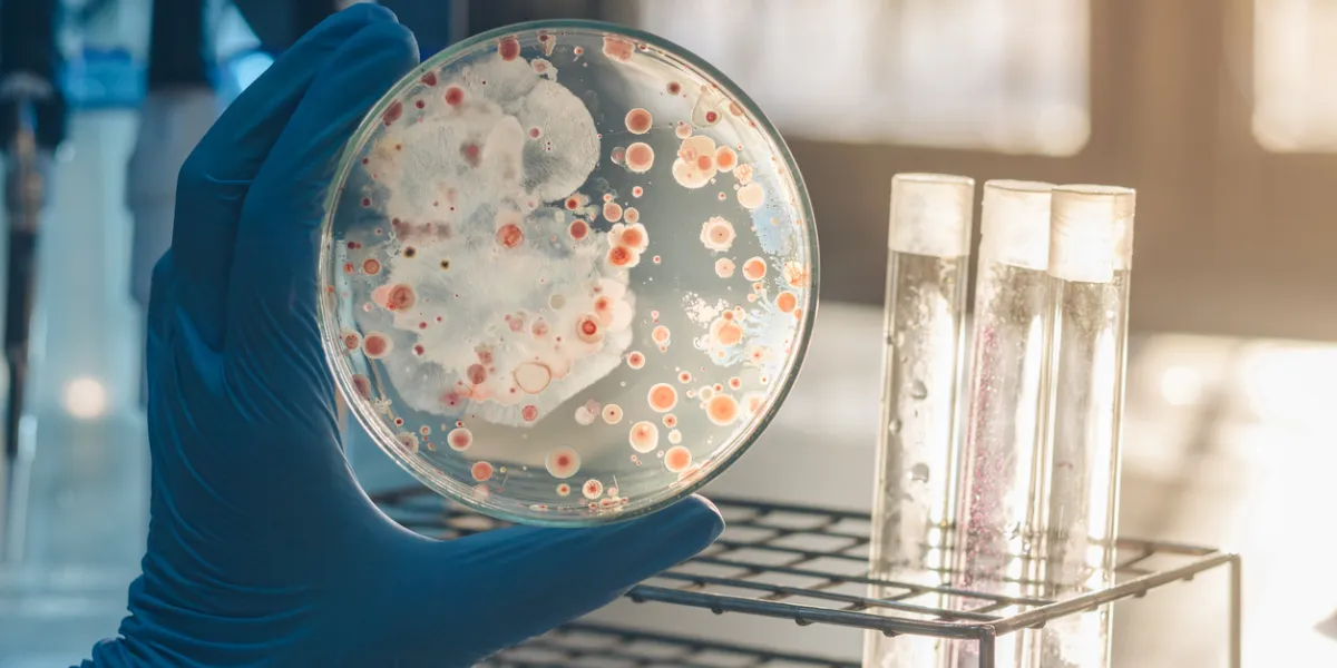 microbiote et cancer