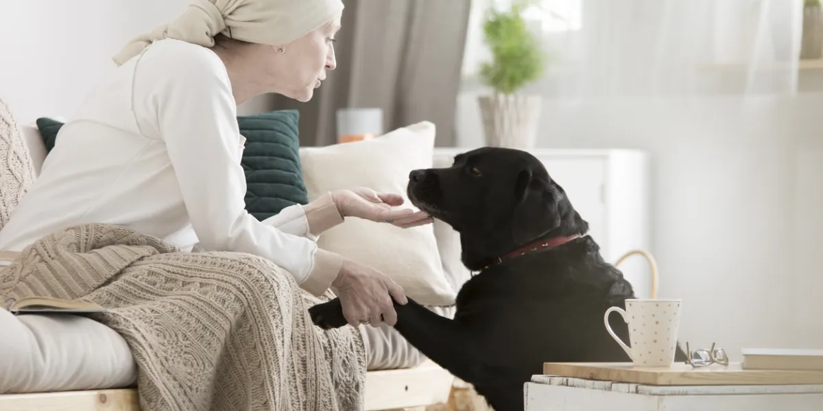 maladies humains et animaux