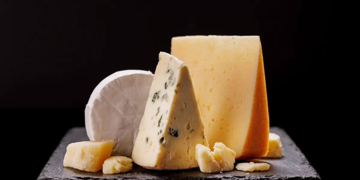 Quelle moisissure est comestible ? 