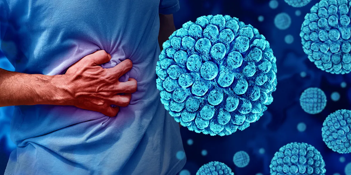 épidémie de gastro-entérite