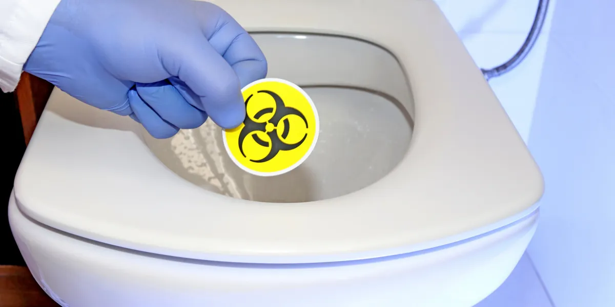 hantavirus dans les toilettes
