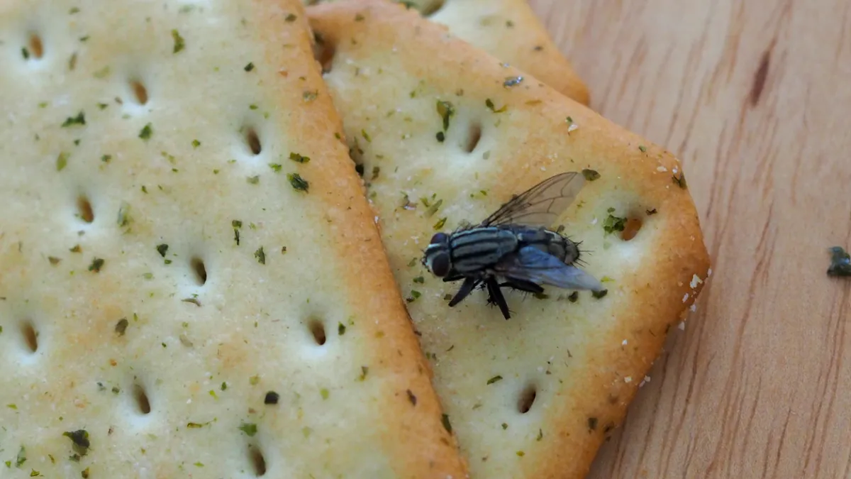 mouche sur un gâteau