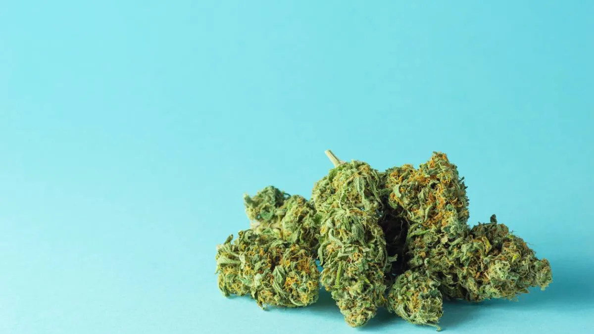 cbd
