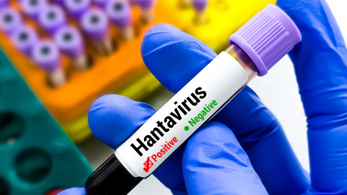 hantavirus