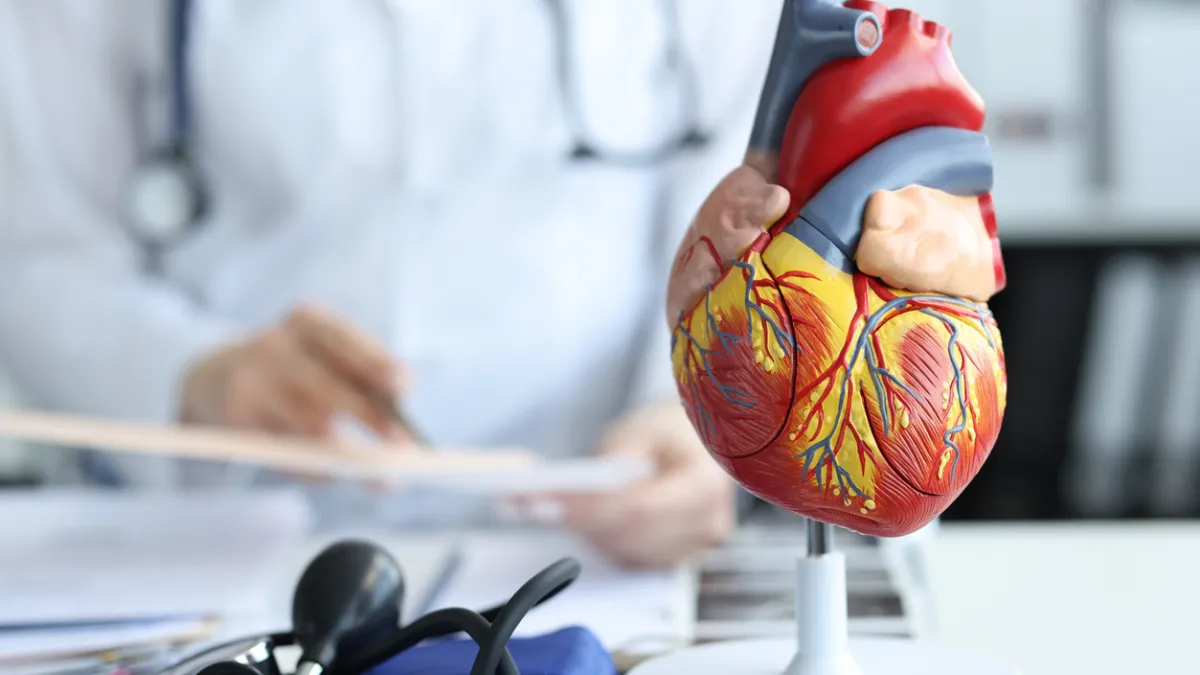 représentation d'un cœur chez un médecin