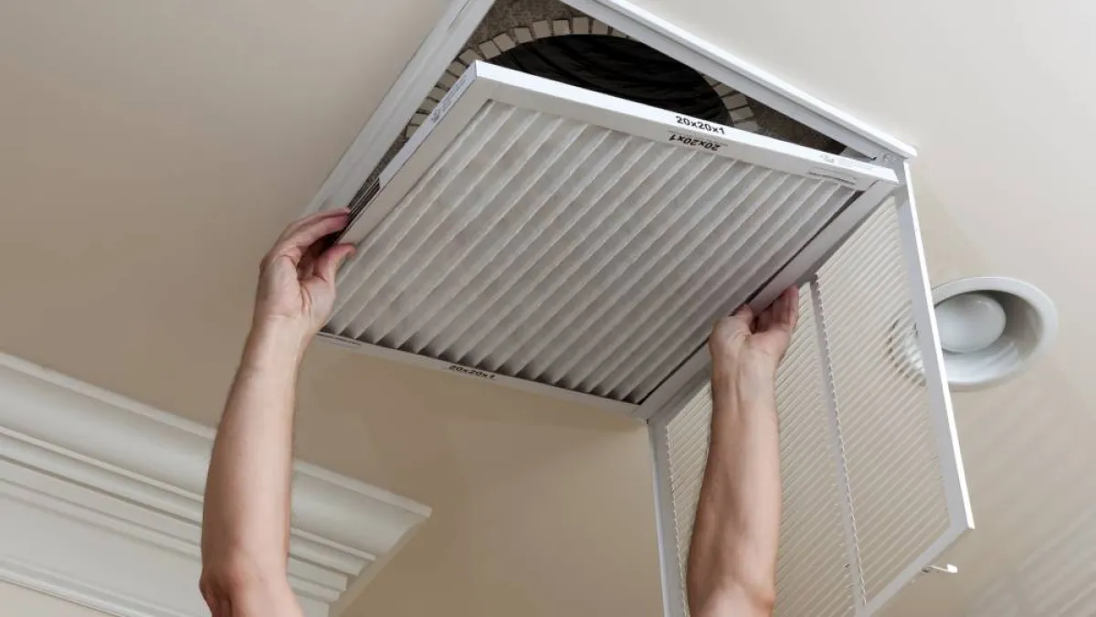 installateur plafond
