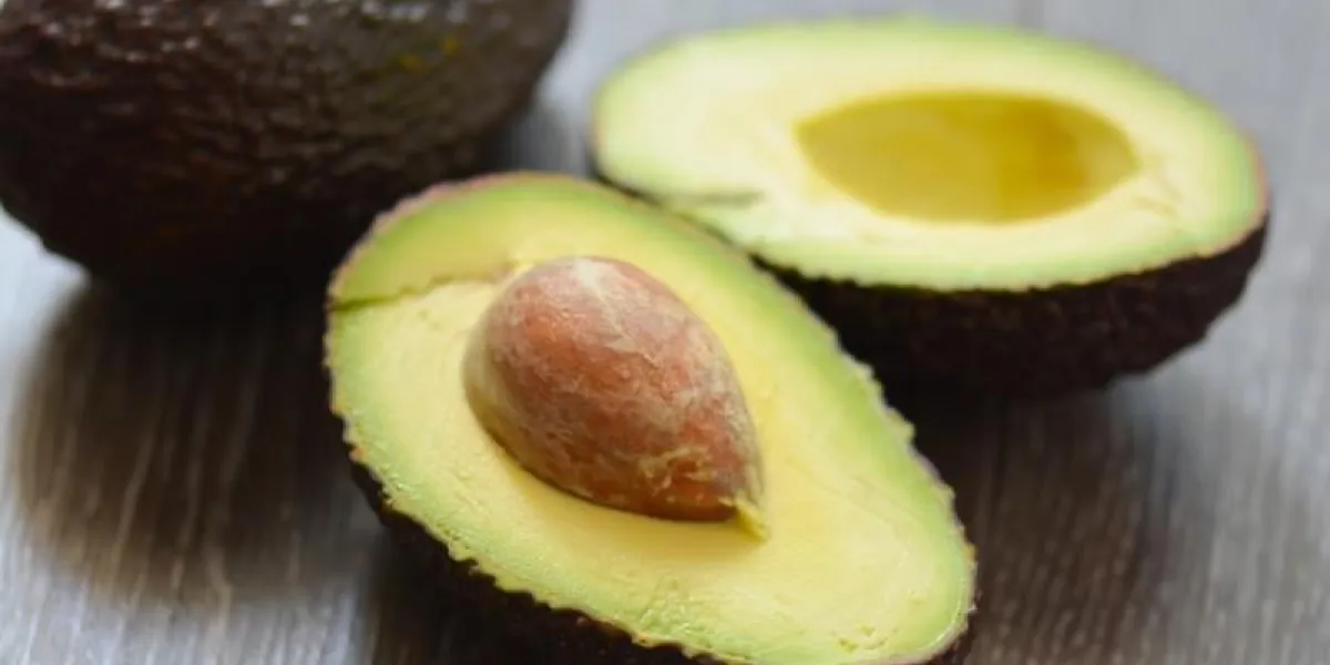 section de fruits frais d'avocat