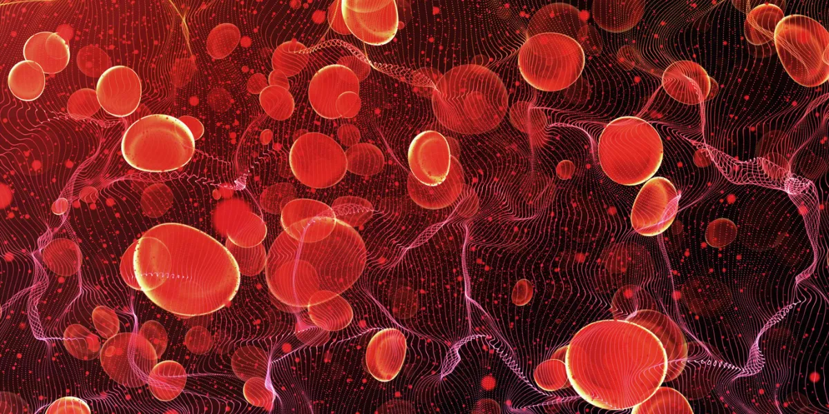 red blood cells in travel an artery