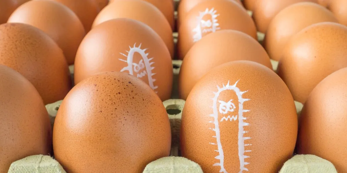 salmonella bacterium drawn on the chicken eggs concept