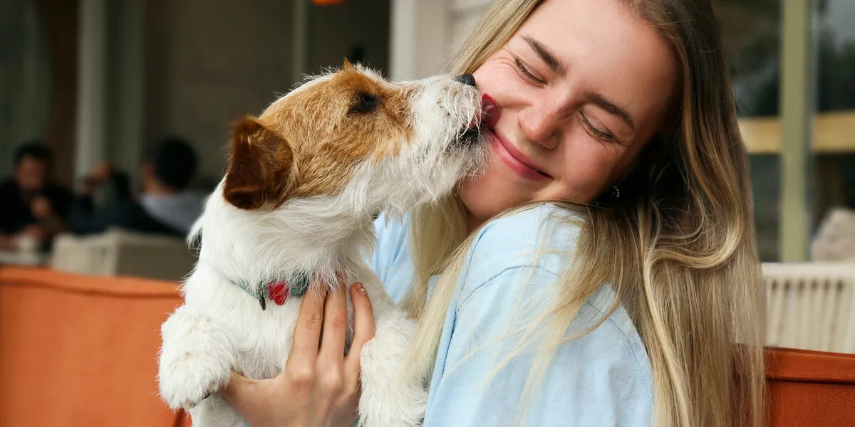 wire haired jack russell terrier licking a cheek of his joyful woman outside of the coffee shop young woman and her dog playing outdoors copy space, background