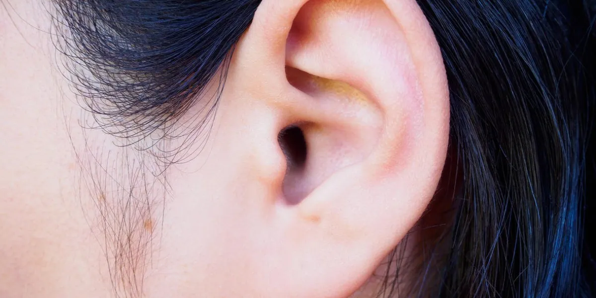 human ear closeup