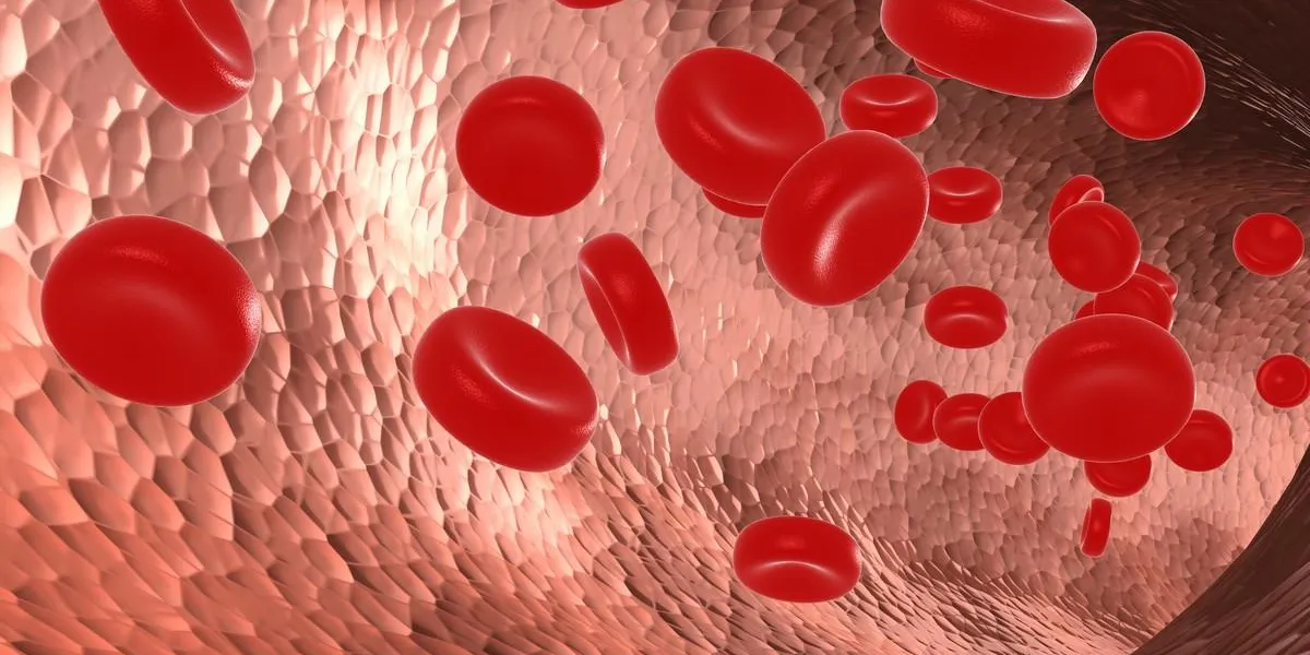 vessels with blood 2 raster