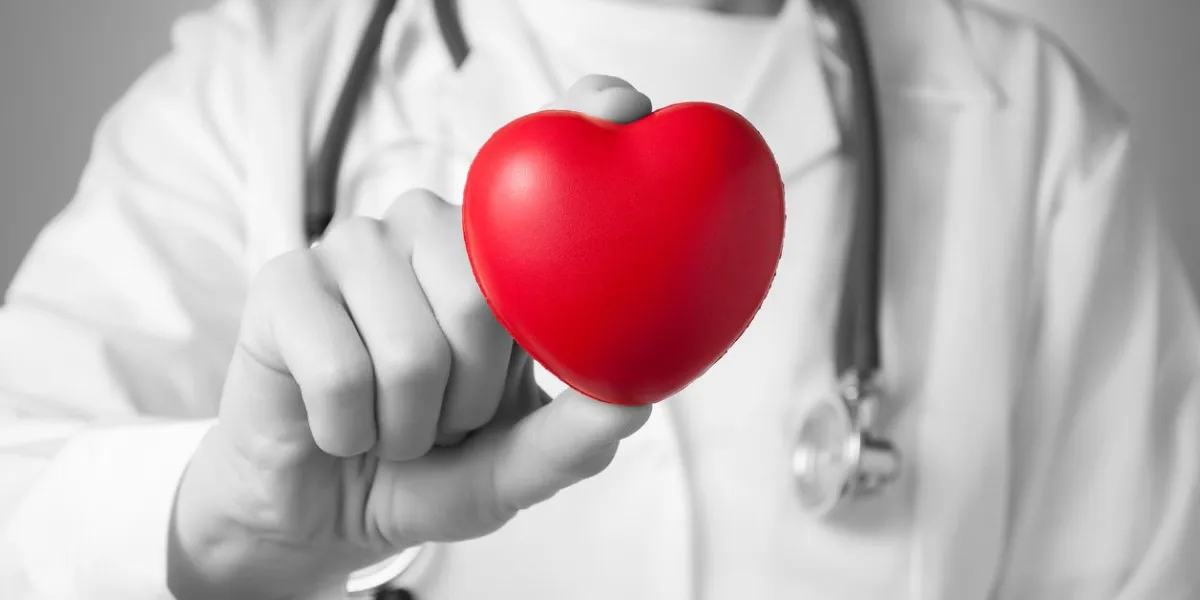 red heart in the hand of a doctor