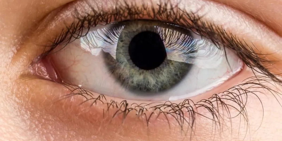 belle jeune adolescente santé yeux bruns macro