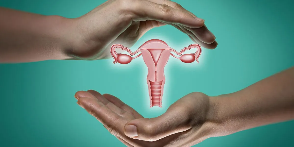 a model of the reproductive system of women between two palms on blue and green background the concept of a healthy female reproductive system
