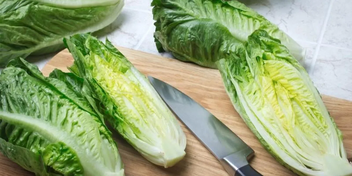 romaine lettuce on kitchen board with knife