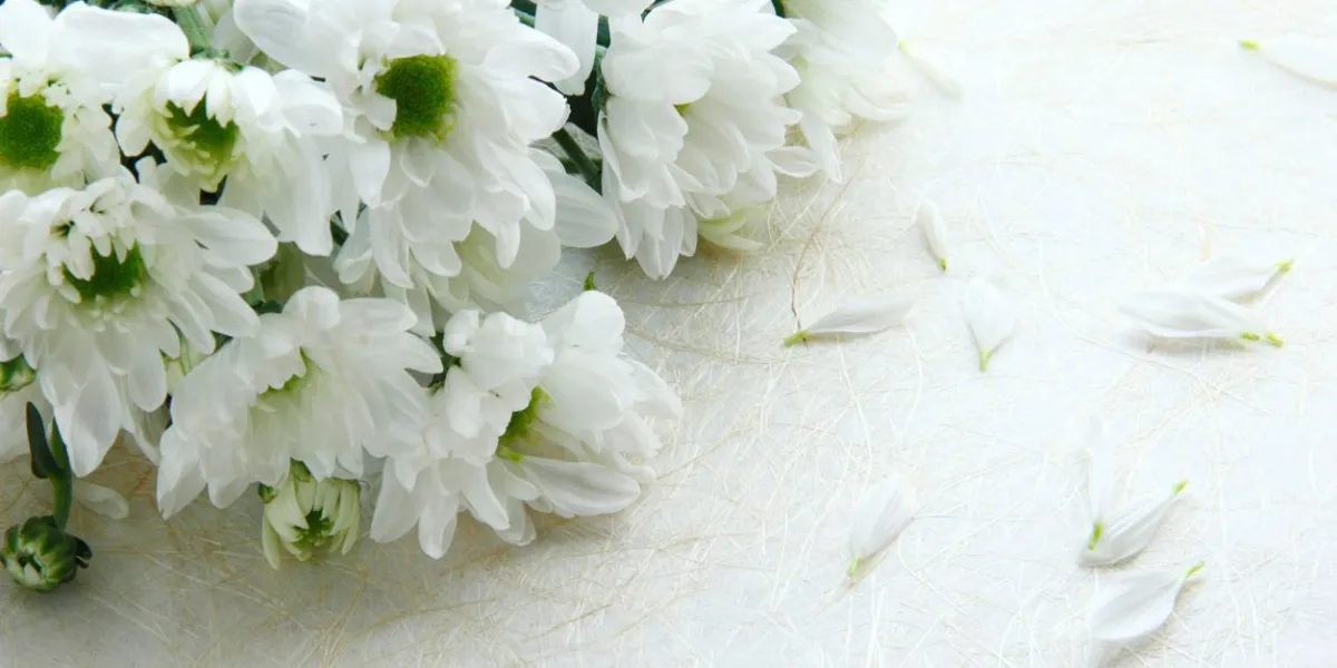 bouquet of chrysanthemums