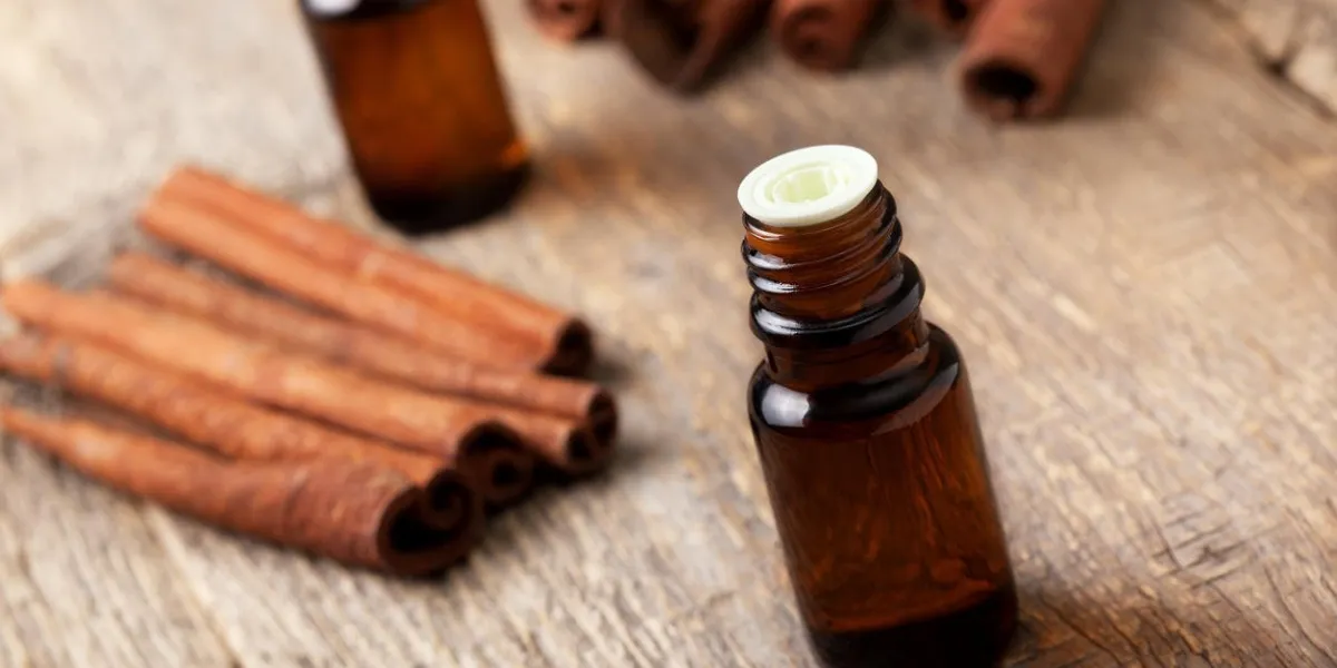 huile essentielle de cannelle dans une bouteille en verre, bâtons de cannelle sur le vieux fond en bois