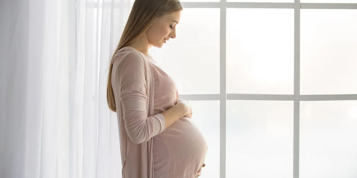 young preganant woman expecting a baby happy parent near window