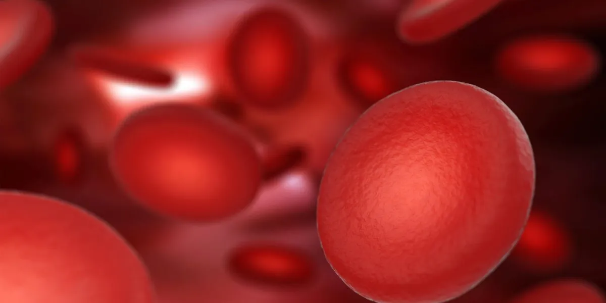 veine sanguine macro vue des globules rouges dans le vaisseau sanguin médical et microbiologique recherche scientifique illustration rendu 3d