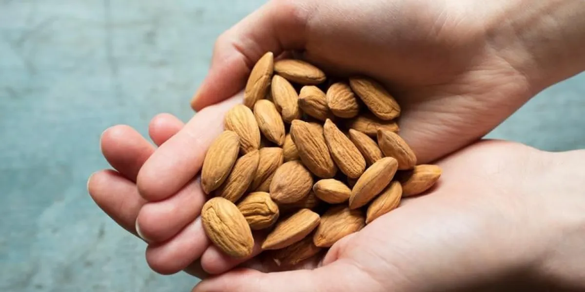 gros plan de femme tenant une poignée d'amandes