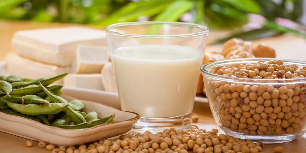 soja, tofu et autres produits à base de soja