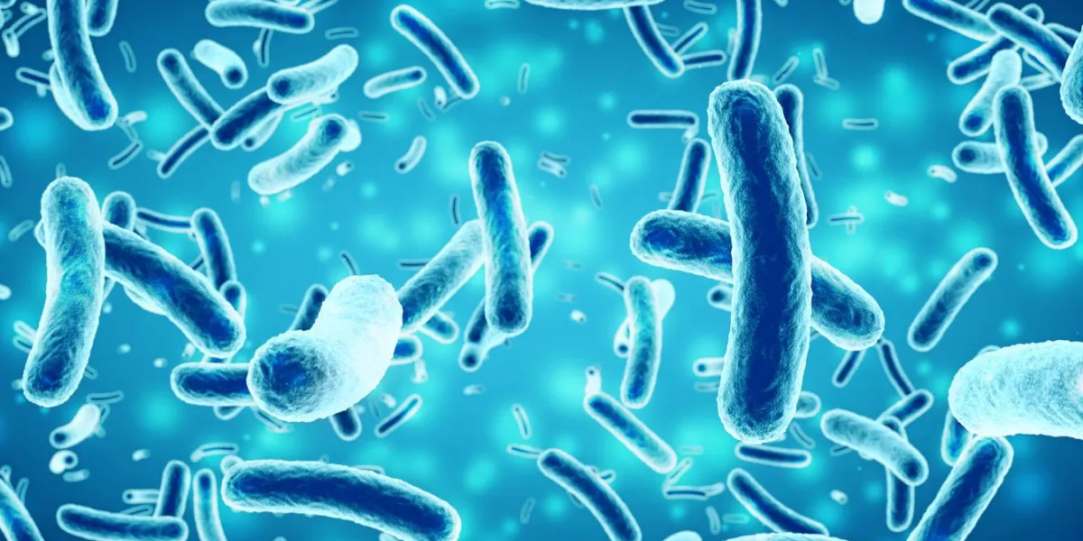 rod - shaped bacteria in a blue background