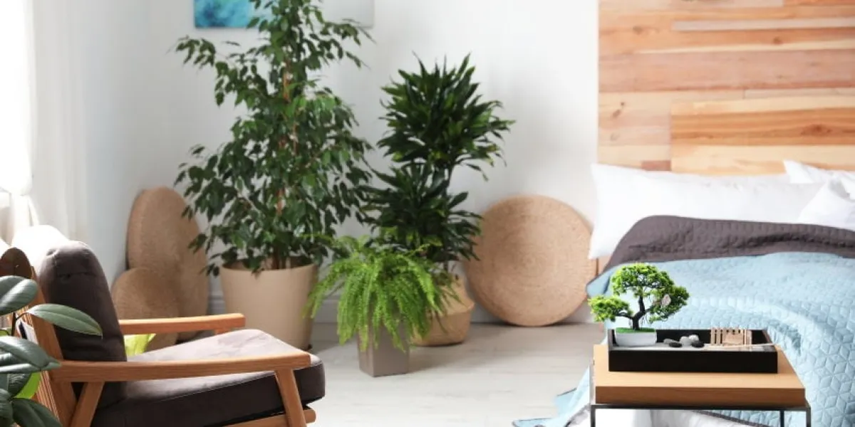 miniature zen garden in stylish bedroom interior