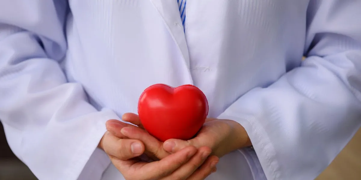 female doctor two hands holding red toy heart medical help prophylaxis or insurance concept cardiology healthcare protection and prevention