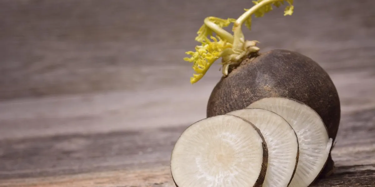 black radish on wooden background