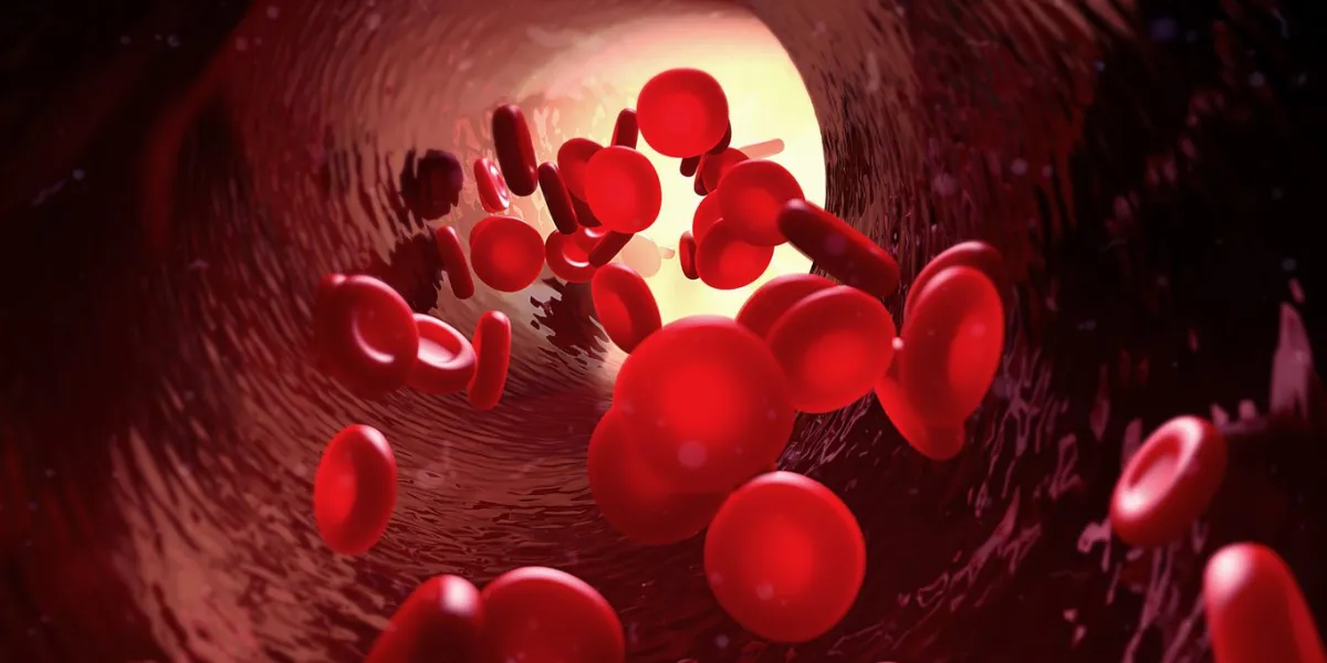 3d illustration blood in blood vessel