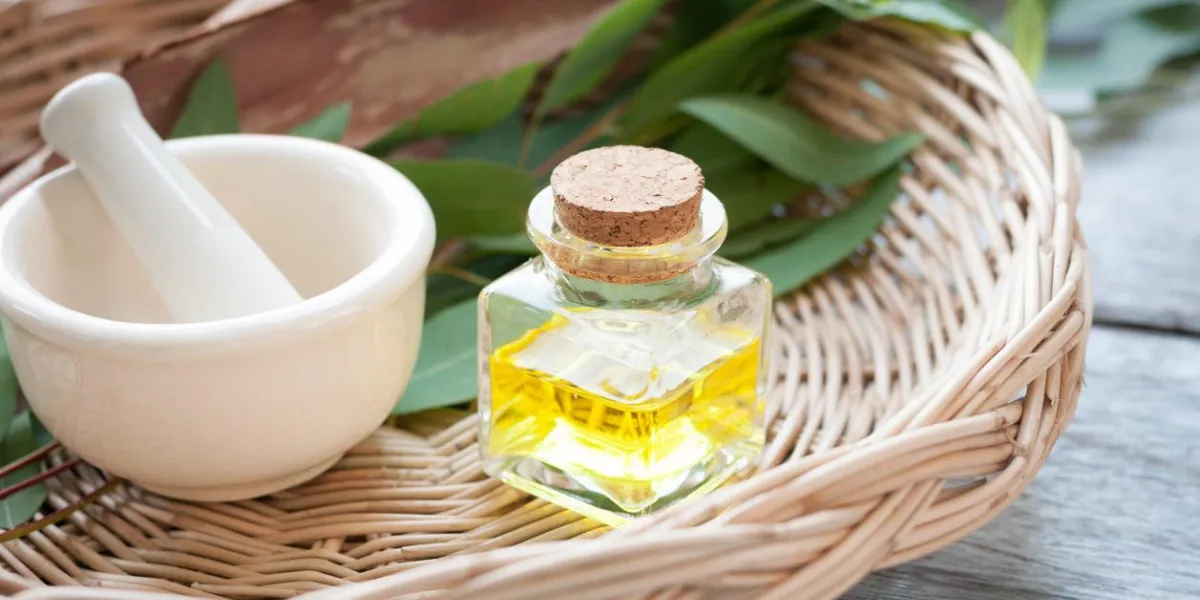 feuilles d'eucalyptus et huile essentielle sur une planche à découper en bois