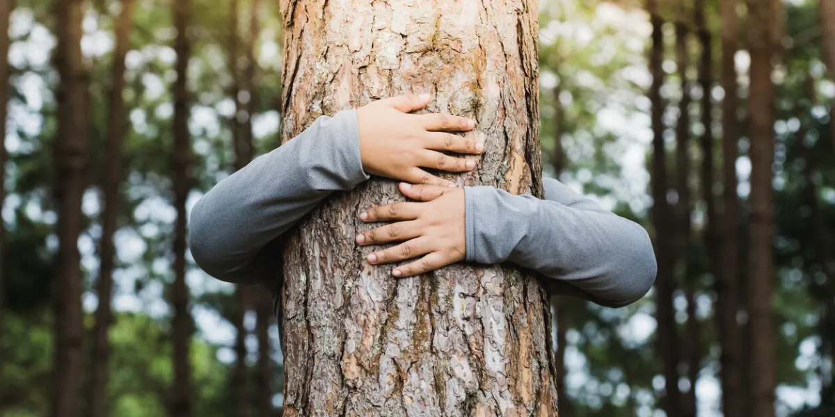 woman hug the tree with love