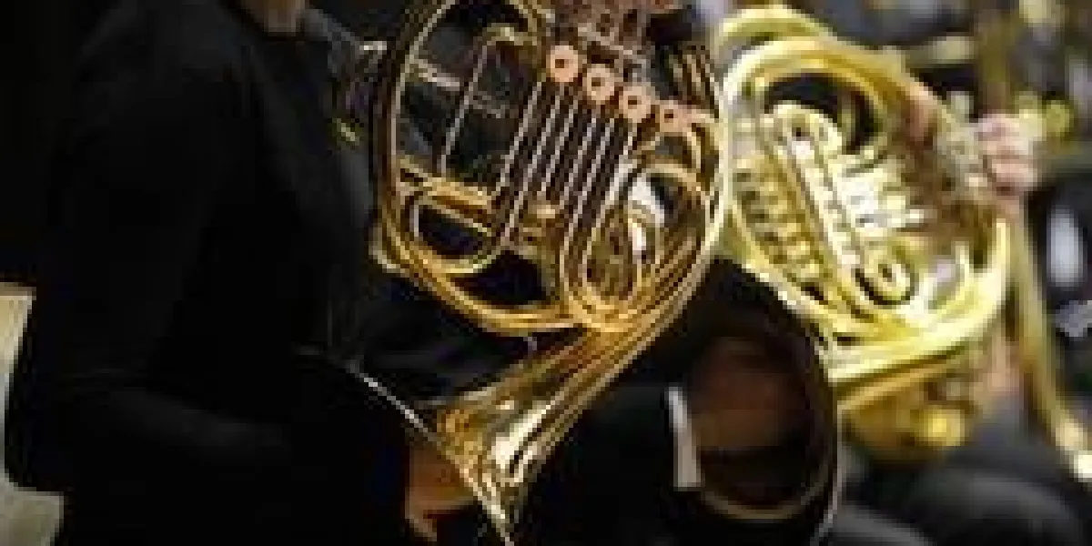 cor français pendant une musique de concert classique