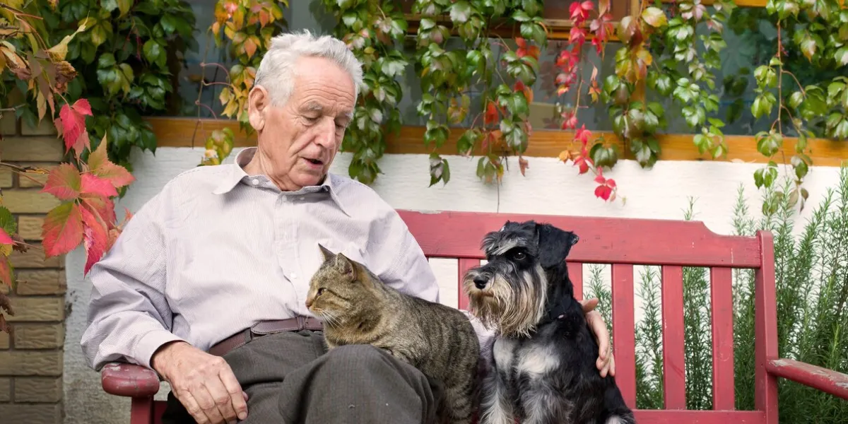 old man resting on bench and cuddling dog and cat